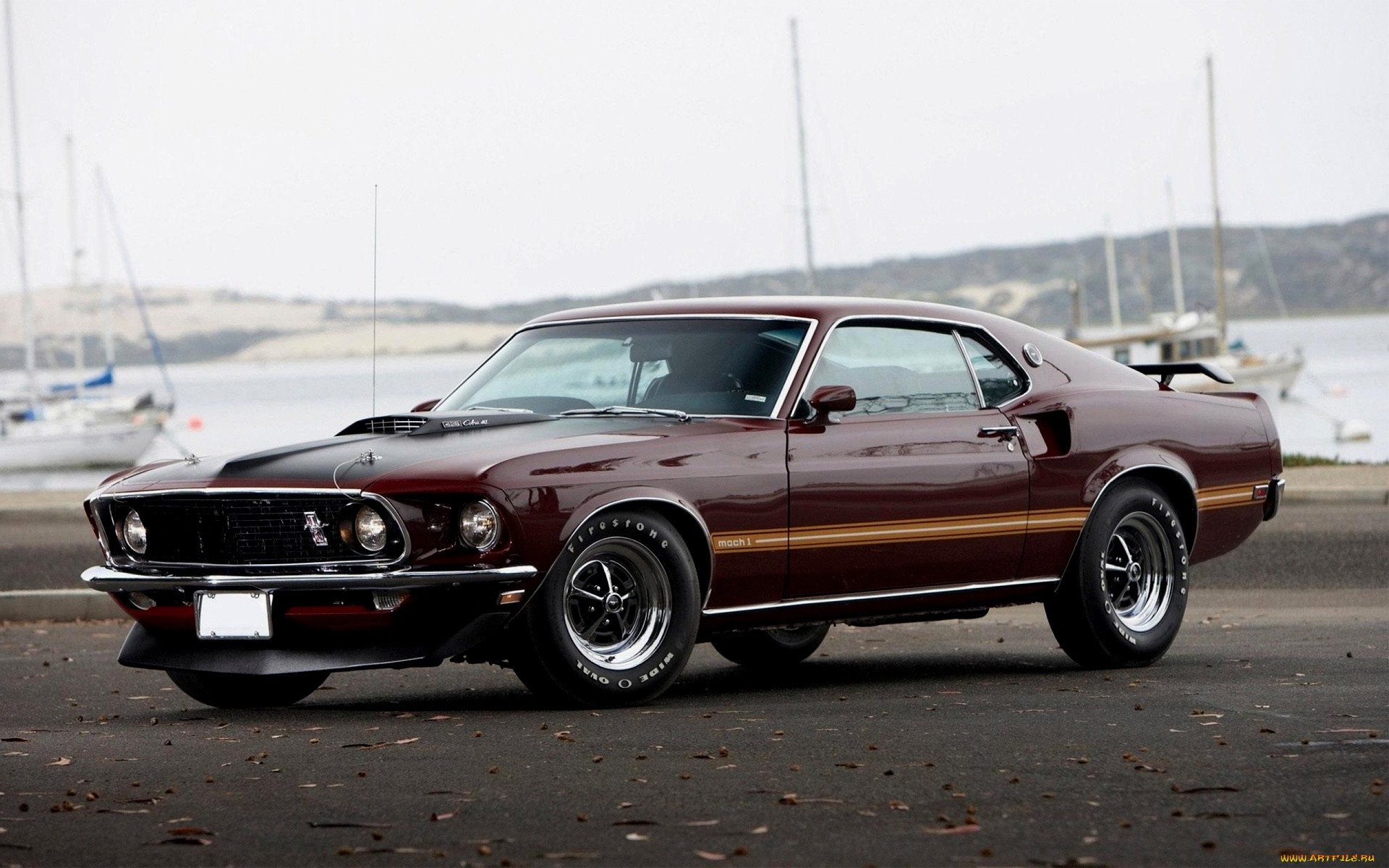 , mustang